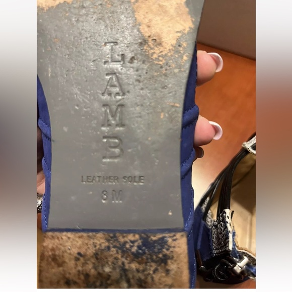 Lamb Sandals Blue Black Flat Size 8 Preowned zipper gladiator - Picture 4 of 5